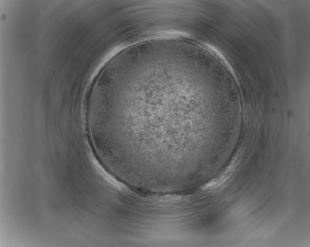 X0000065970851200603061147