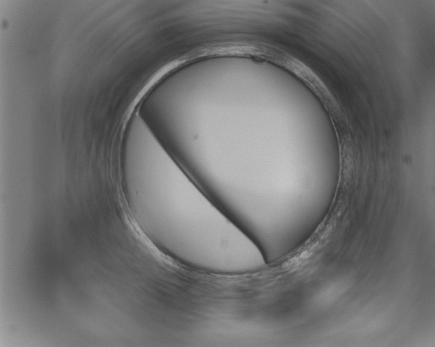 X0000065970852200603061147