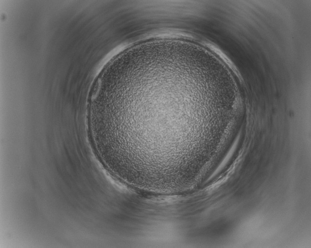 X0000065970853200603061147