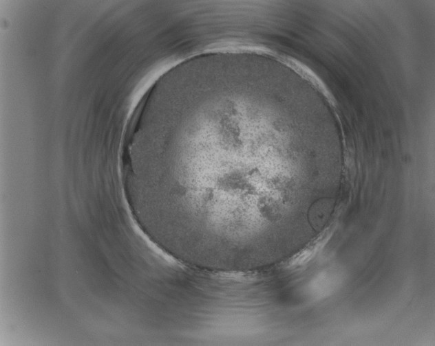 X0000065970855200603061147