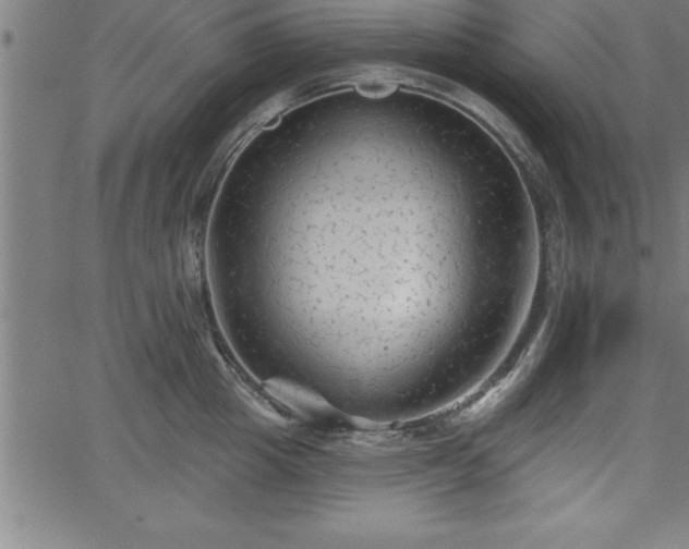 X0000065970857200603061147