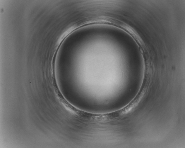 X0000065970858200603061148