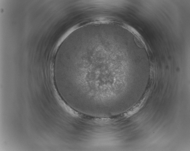 X0000065970859200603061148