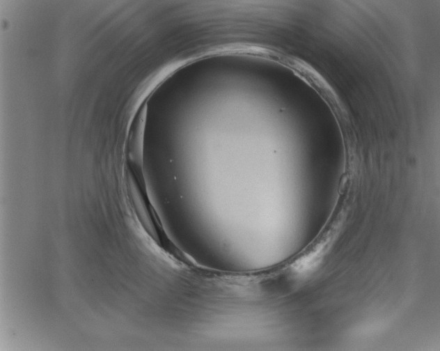 X0000065970860200603061148