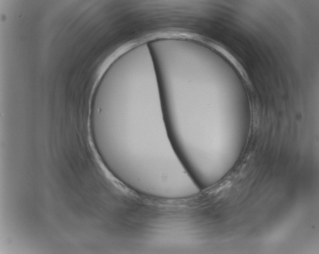 X0000065970861200603061148