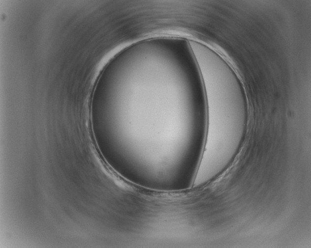 X0000065970862200603061148