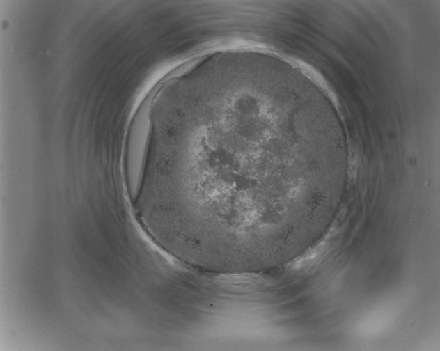 X0000065970863200603061148