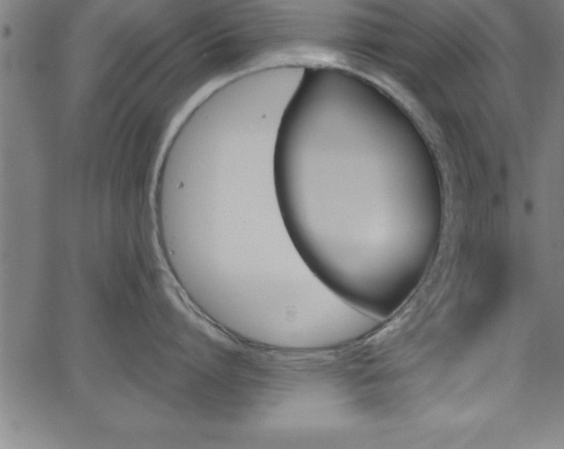 X0000065970864200603061148