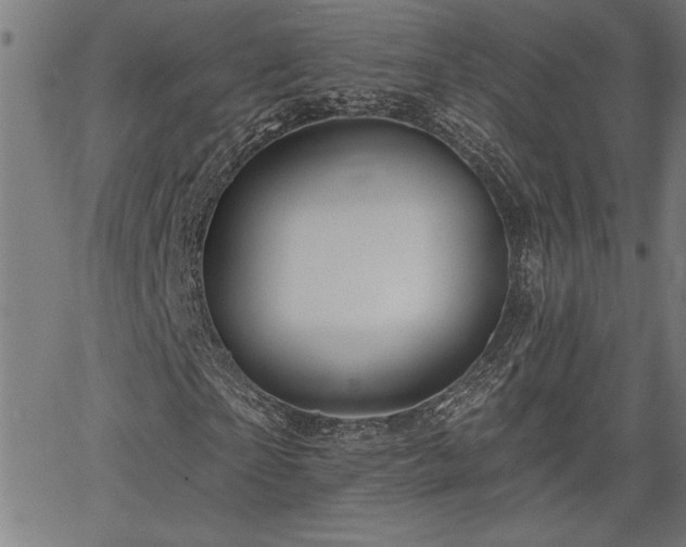 X0000065970865200603061147