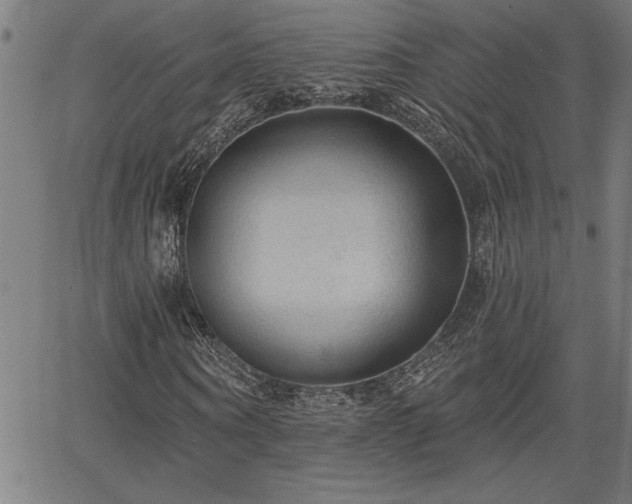 X0000065970866200603061147