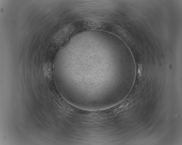 X0000065970867200603061147