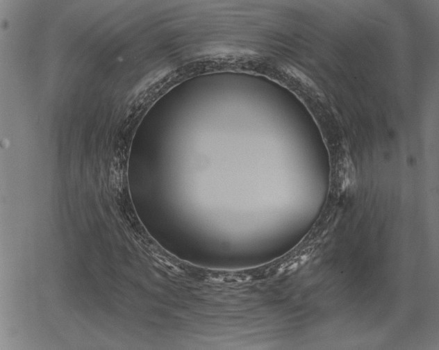 X0000065970869200603061147