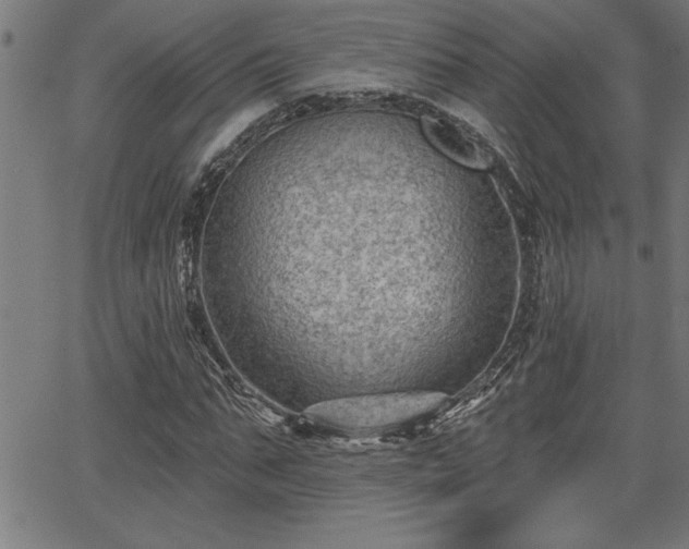 X0000065970871200603061147