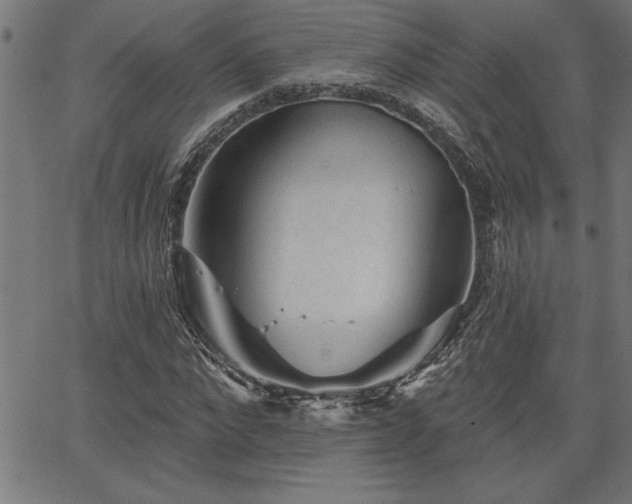 X0000065970872200603061147