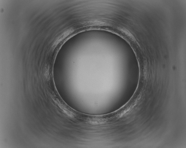 X0000065970873200603061147