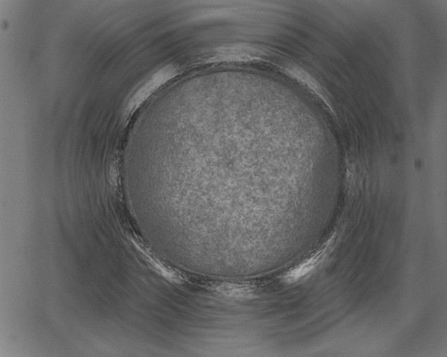 X0000065970874200603061147