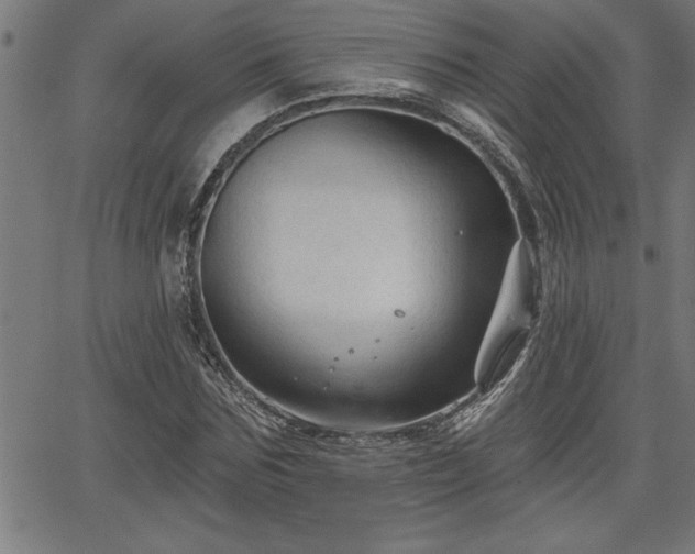 X0000065970875200603061147