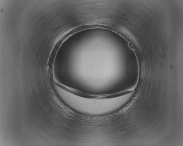 X0000065970876200603061147