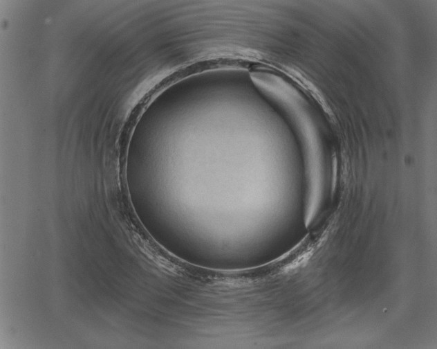 X0000065970877200603061147