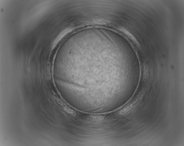 X0000065970878200603061147