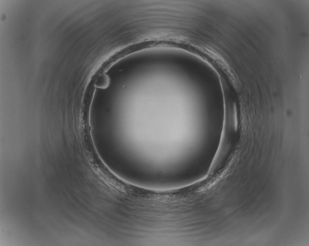 X0000065970880200603061147