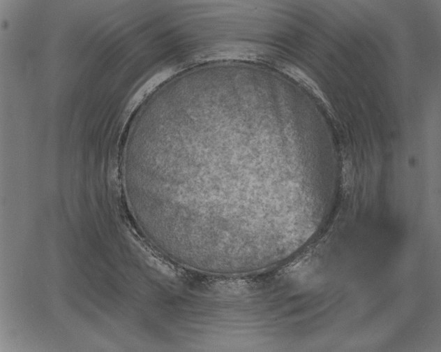 X0000065970882200603061147