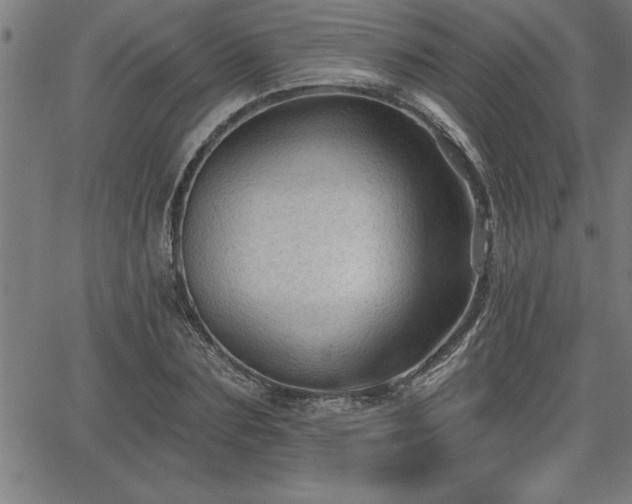 X0000065970883200603061147