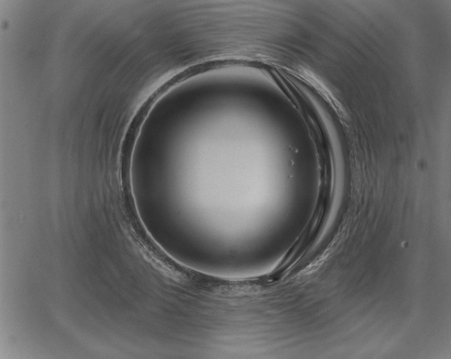 X0000065970884200603061147