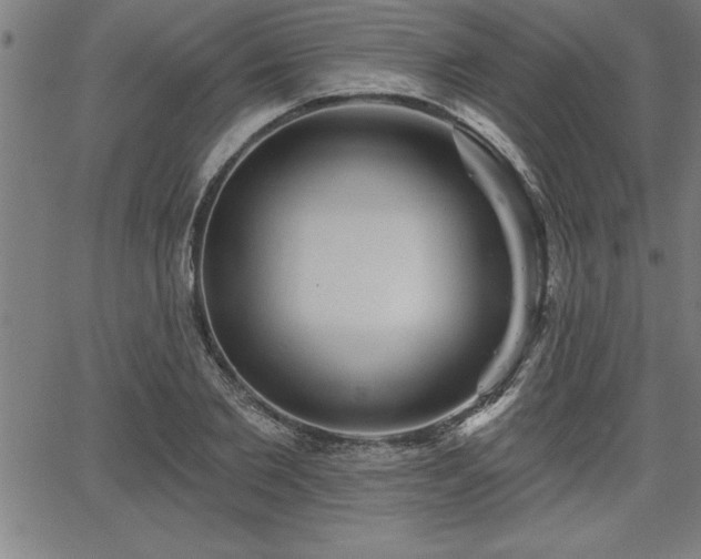 X0000065970885200603061147