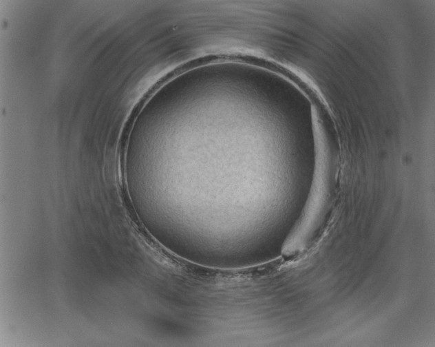 X0000065970887200603061146