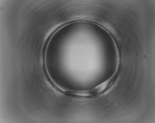 X0000065970888200603061146