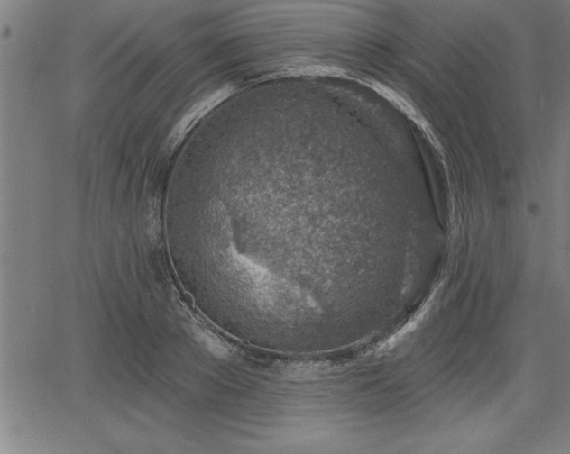 X0000065970889200603061146