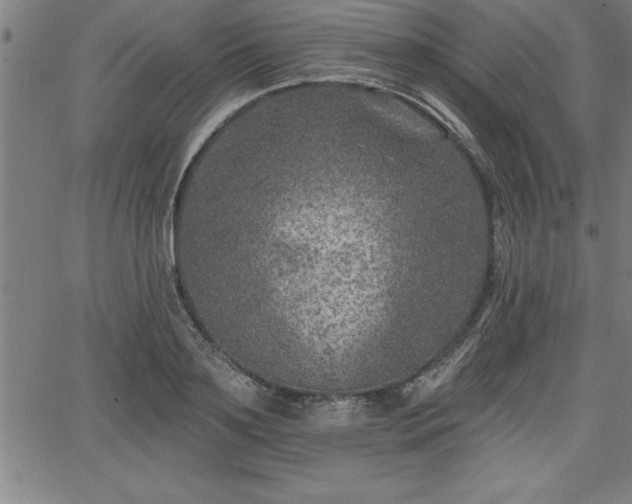 X0000065970891200603061146