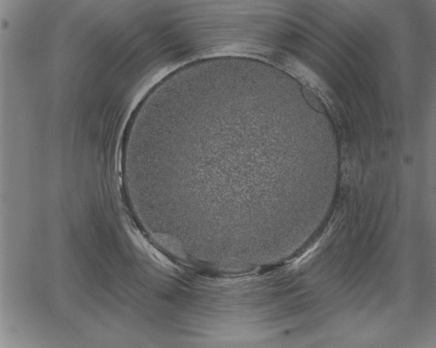 X0000065970892200603061146