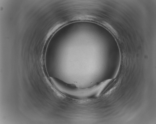 X0000065970893200603061146