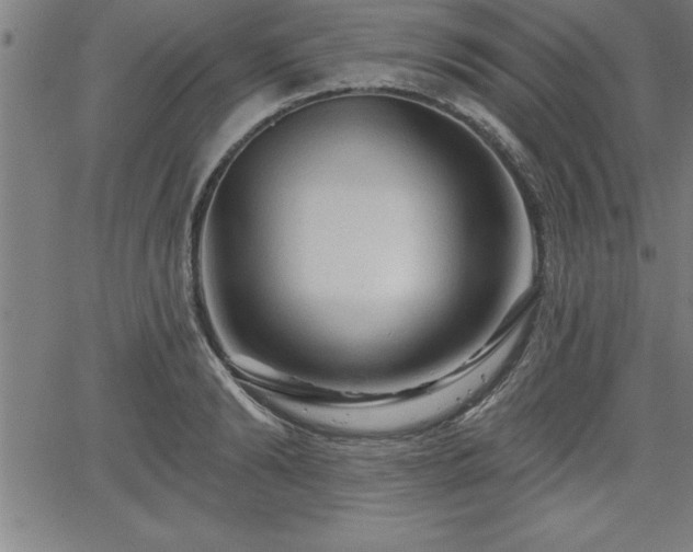 X0000065970894200603061146