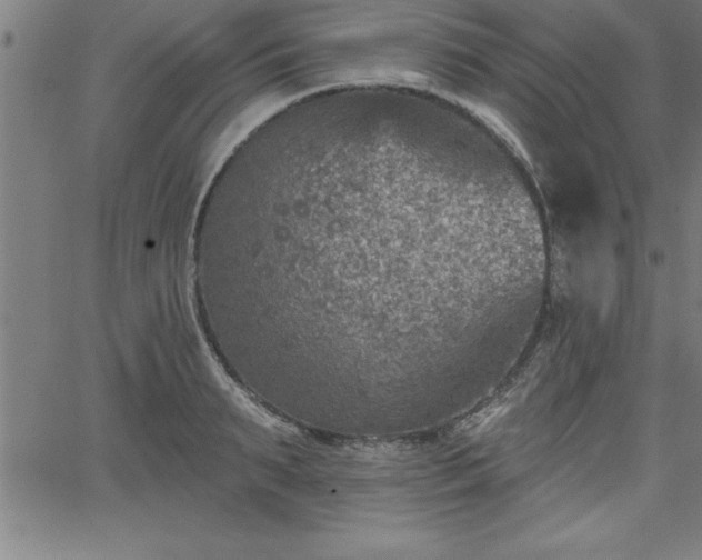 X0000065970895200603061146