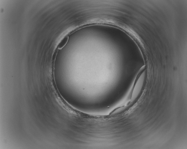 X0000065970896200603061146