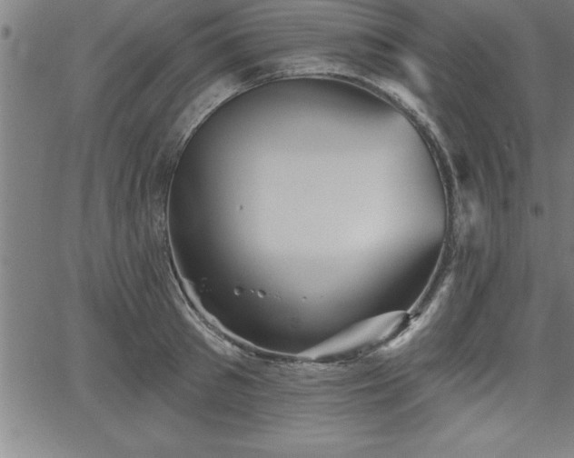 X0000065970897200603061146