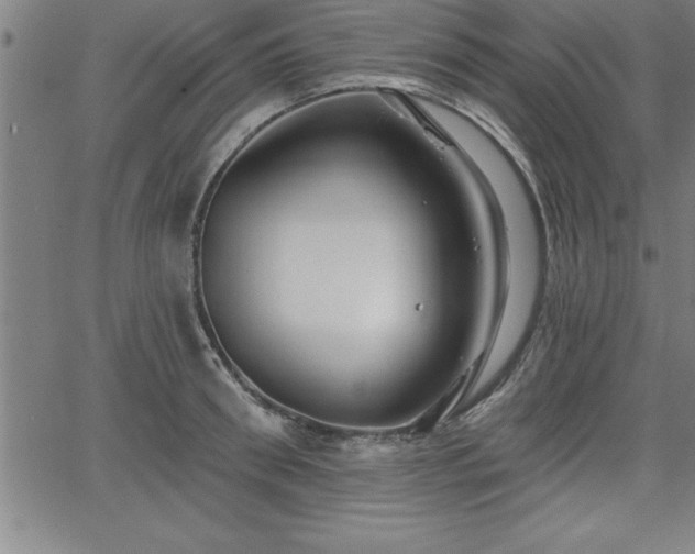 X0000065970898200603061146