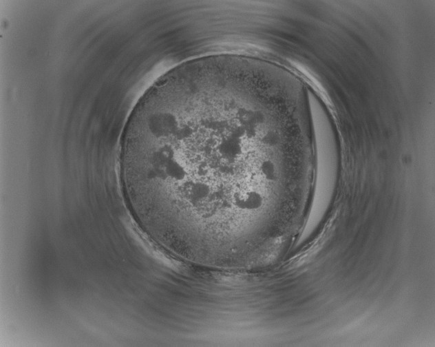 X0000065970899200603061146