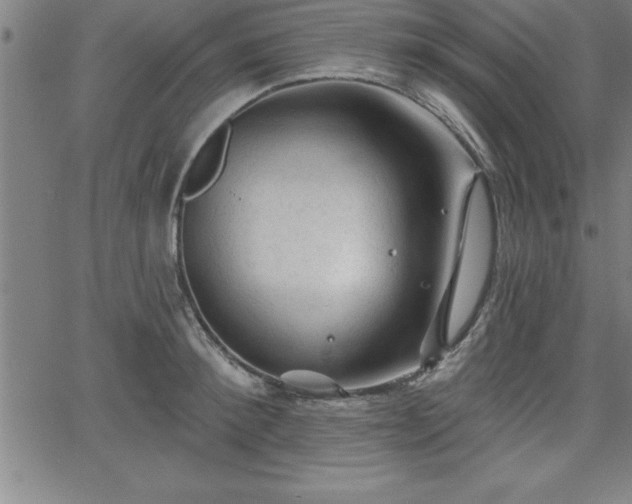 X0000065970900200603061146