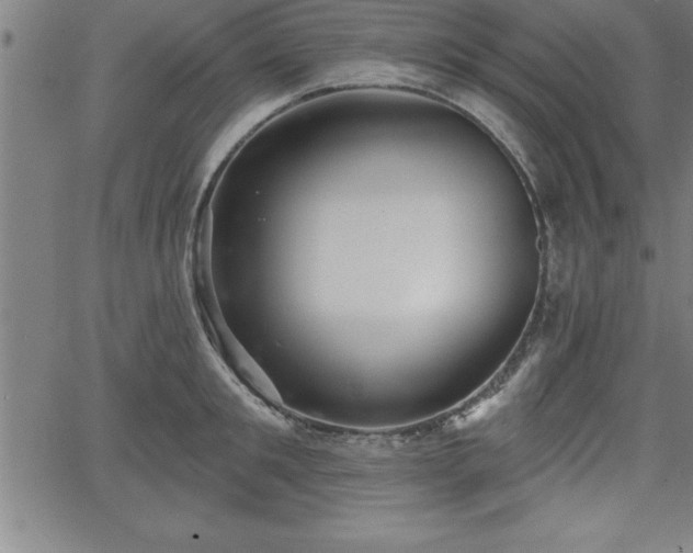 X0000065970901200603061146