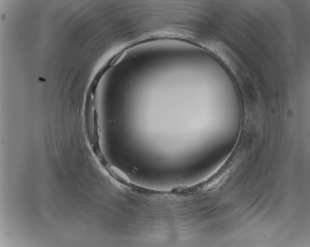 X0000065970902200603061146