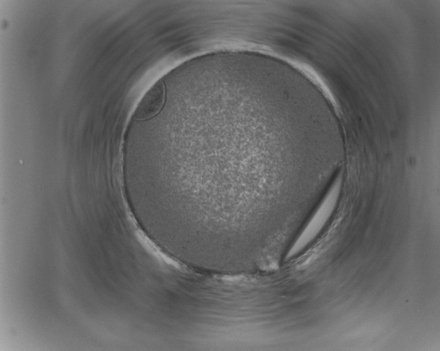 X0000065970903200603061146