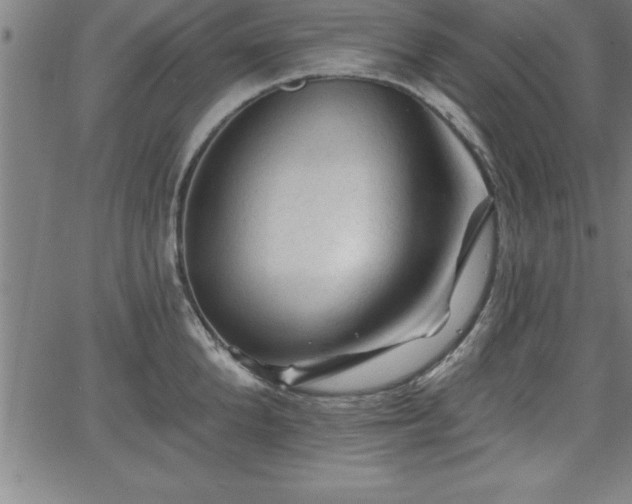 X0000065970904200603061146