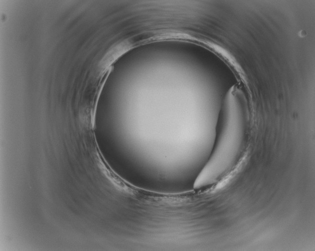 X0000065970905200603061146