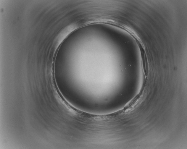 X0000065970906200603061146