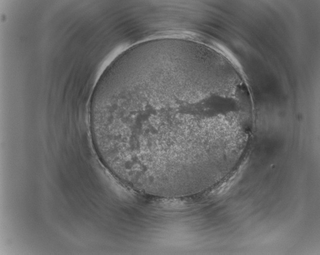 X0000065970907200603061146