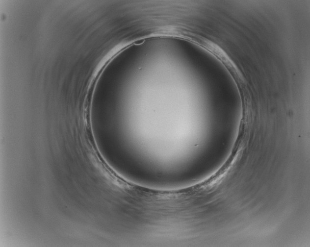 X0000065970908200603061146